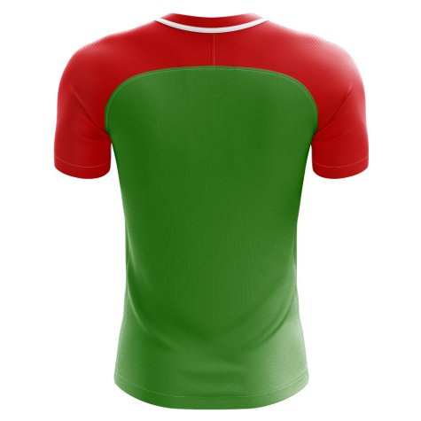 2024-2025 Chechnya Home Concept Football Shirt