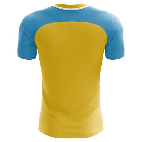 2024-2025 Kalmykia Home Concept Football Shirt