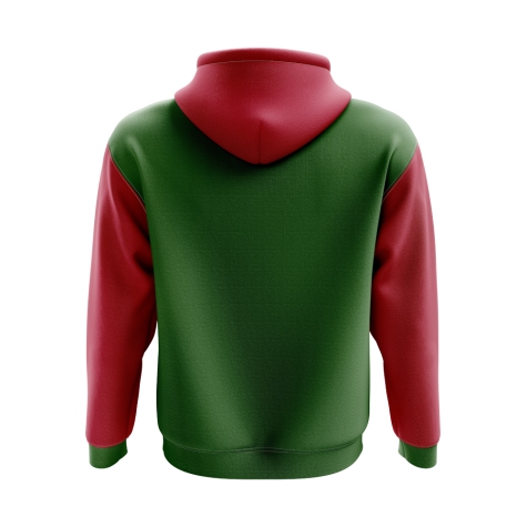 Suriname Concept Country Football Hoody (Green)