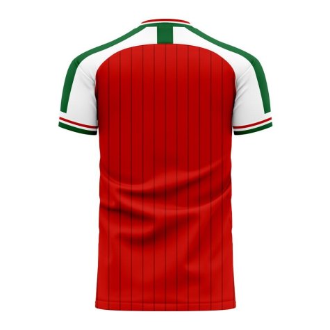 Hungary 2024-2025 Home Concept Football Kit (Libero) (SCHAFER 13)