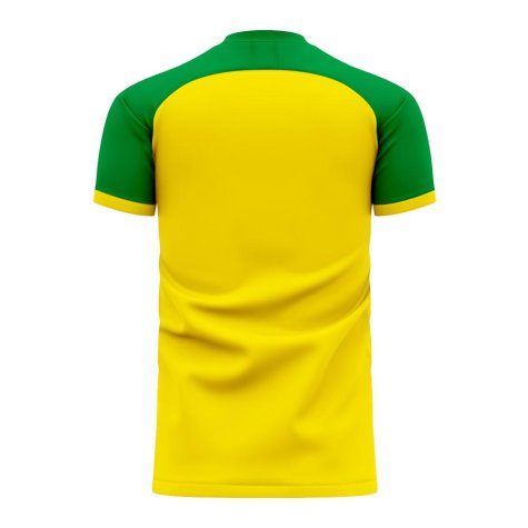 Nantes 2024-2025 Home Concept Football Kit (Libero) - Womens