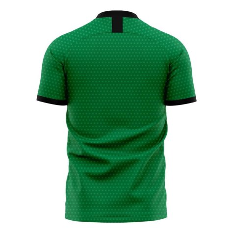 Nigeria 2024-2025 Home Concept Football Kit (Libero) (KANU 4)