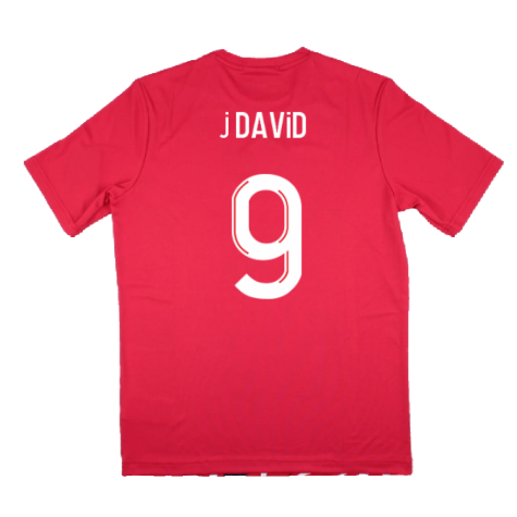 2023-2024 Lille LOSC Pre-Game Jersey (Home) (J David 9)