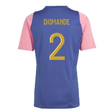 2023-2024 Olympique Lyon Training Jersey (Navy) (Diomande 2)