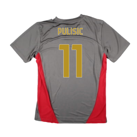 2024-2025 AC Milan Training Shirt (Grey) (Pulisic 11)