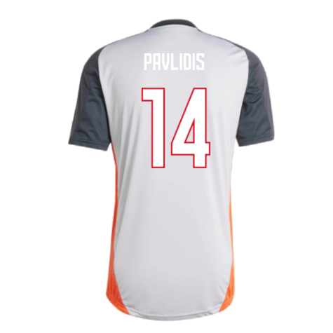 2024-2025 Benfica Training Jersey (Grey) (Pavlidis 14)