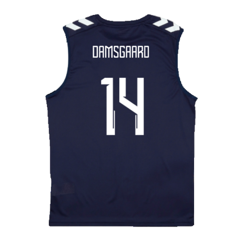 2024-2025 Denmark Sleeveless Training Jersey (Marine) (Damsgaard 14)