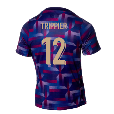 2024-2025 England Academy Pro Pre-Match Shirt (Purple Ink) (Trippier 12)
