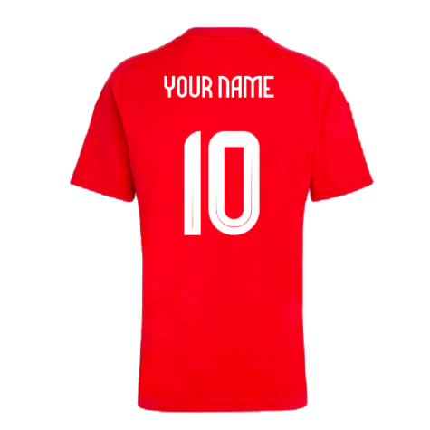 2024-2025 Hungary Home FAN Shirt (Your Name)