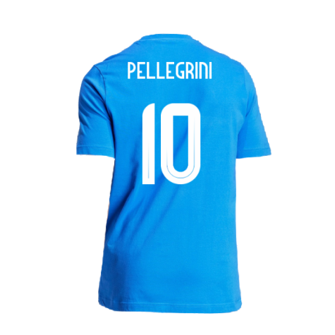 2024-2025 Italy DNA Graphic Tee (Blue) (PELLEGRINI 10)