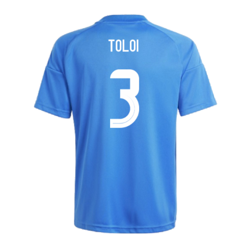 2024-2025 Italy Home Fan Jersey (Kids) (TOLOI 3)