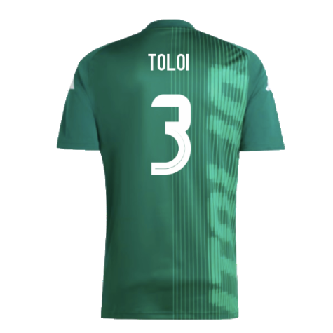 2024-2025 Italy Pre-Match Shirt (Green) (TOLOI 3)