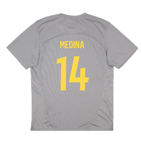 2024-2025 Racing Lens Training Shirt (Cast Iron) (Medina 14)