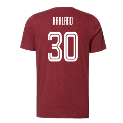 2024-2025 Red Bull Salzburg Training Shirt (Dark Clove) (Haaland 30)