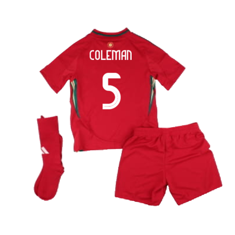 2024-2025 Wales Home Mini Kit (Coleman 5)