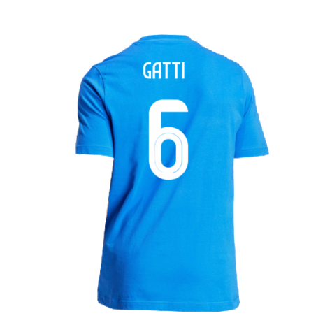 2024-2025 Italy DNA Graphic Tee (Blue) (GATTI 6)