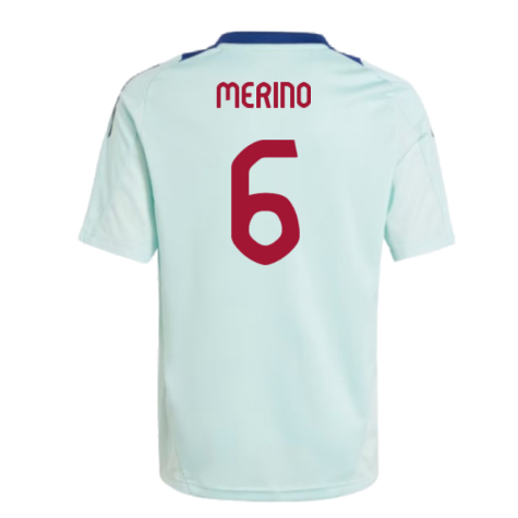 2024-2025 Spain Training Jersey (Turquoise) - Kids (Merino 6)