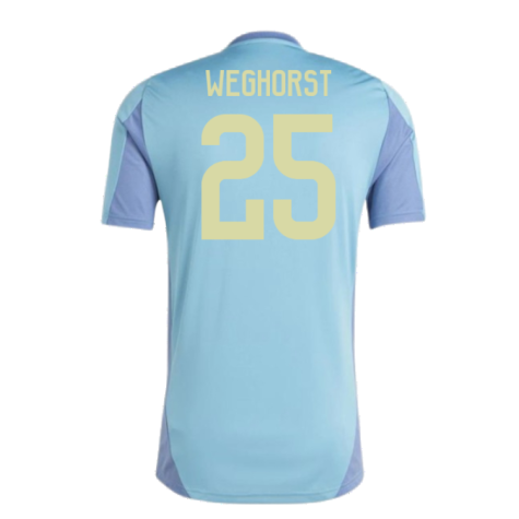 2024-2025 Ajax Training Jersey (Tactile Steel) (Weghorst 25)