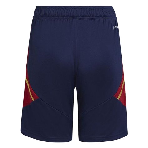 2022-2023 Ajax Training Shorts (Navy)