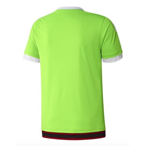 2015-2016 Ajax Away Shirt (Your Name)