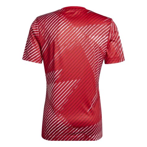 2022-2023 Japan Pre-Match Shirt (Asano 18)