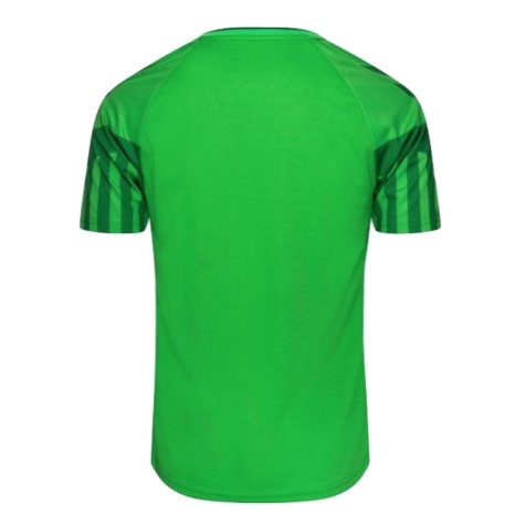 2022-2023 Denmark Home Goalkeeper Jersey (Green) (Schmeichel 1)