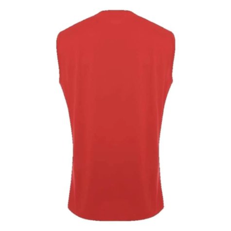 2018-2019 Liverpool Elite Training Vest (Red) (Your Name)