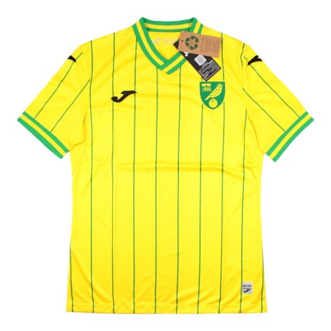 2022-2023 Norwich City Home Shirt (DOWELL 10)