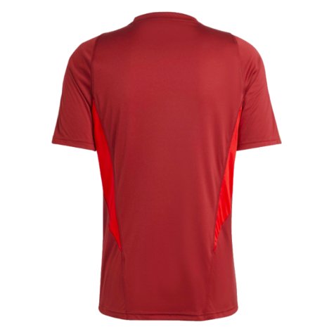 2023-2024 Arsenal Training Jersey (Red) (S Cazorla 19)