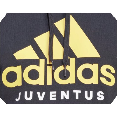 2023-2024 Juventus DNA Hooded Top (Black)