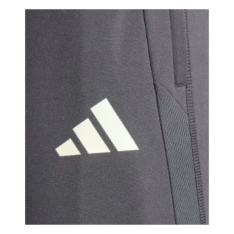 2023-2024 Juventus EU Training Pants (Carbon)