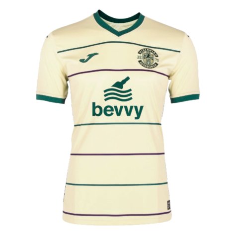 2023-2024 Hibernian Third Shirt (Gray 2)