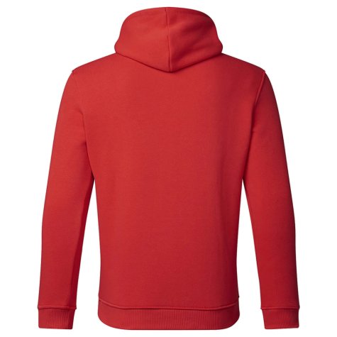 2024 Red Bull Racing Core Overhead Hoodie (Winery)