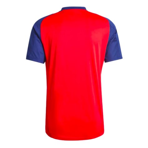 2024-2025 Spain Training Jersey (Red) (Fabian 8)