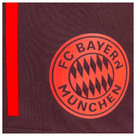 2024-2025 Bayern Munich Training Shorts (Shadow Maroon)