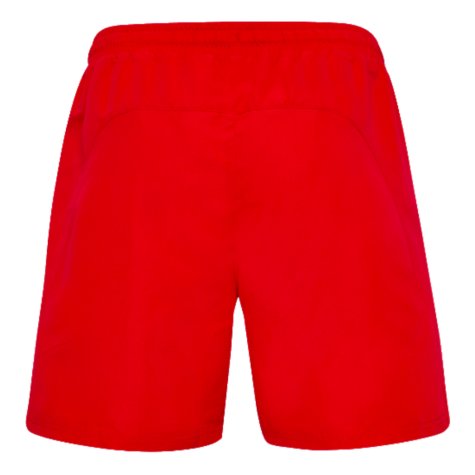 2024-2025 Denmark Swim Shorts (Red)