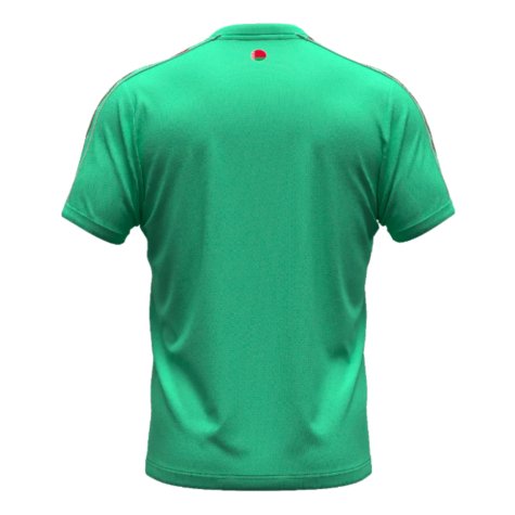 2024-2025 Belarus Away Shirt