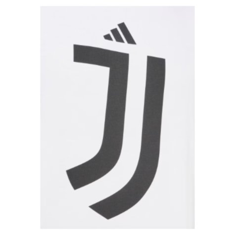 2024-2025 Juventus DNA Graphic Tee (White) (R.Baggio 10)