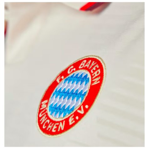 2024-2025 Bayern Munich Third Shirt