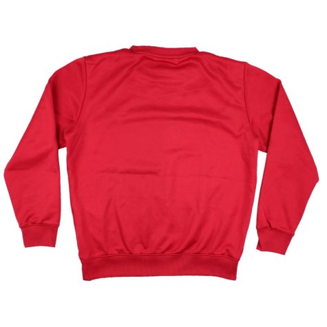 Watford 2012-13 Puma Training Jumper (S) (Excellent)
