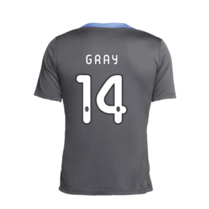 2024-2025 Tottenham Dri-Fit Strike Training Shirt (Dark Grey) (Gray 14) 2024-2025 Tottenham Dri-Fit Strike Training Shirt (Dark Grey) (Gray 14)