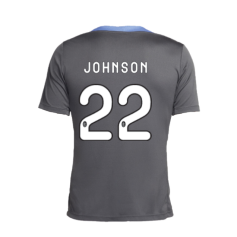 2024-2025 Tottenham Dri-Fit Strike Training Shirt (Dark Grey) (Johnson 22)