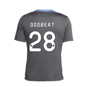 2024-2025 Tottenham Dri-Fit Strike Training Shirt (Dark Grey) (Odobert 28) 2024-2025 Tottenham Dri-Fit Strike Training Shirt (Dark Grey) (Odobert 28)