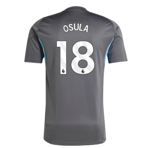 2025-2026 Newcastle Training Shirt (Grey) (Osula 18)