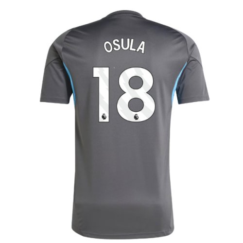 2025-2026 Newcastle Training Shirt (Grey) (Osula 18)