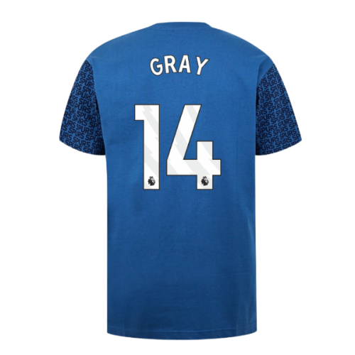 Tottenham Hotspur Graphic T-shirt (Blue) (Gray 14)