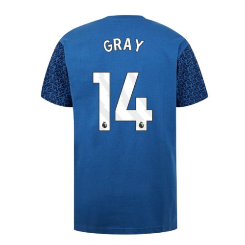 Tottenham Hotspur Graphic T-shirt (Blue) (Gray 14)