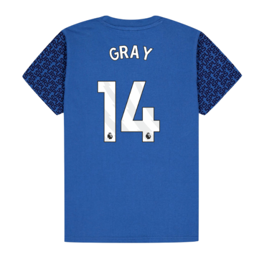 Tottenham Hotspur Graphic T-shirt (Blue) - Kids (Gray 14)