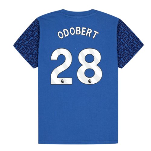Tottenham Hotspur Graphic T-shirt (Blue) - Kids (Odobert 28)