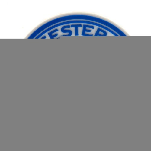 Leicester City FC 3D Fridge Magnet